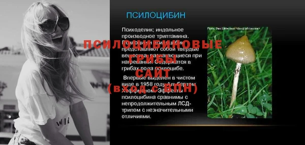 шишки Алексин