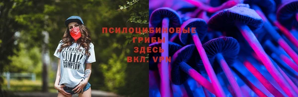 прущая мука Алзамай
