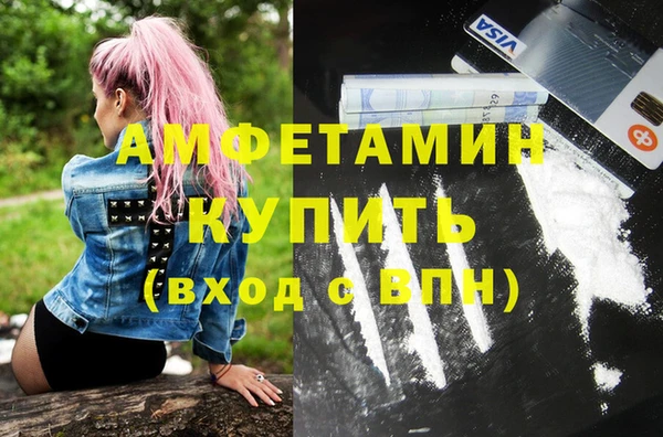 шишки Алексин