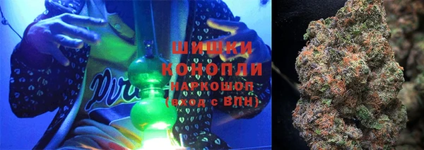 шишки Алексин