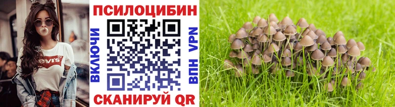 мега зеркало  что такое наркотик  Межгорье  Галлюциногенные грибы MAGIC MUSHROOMS 